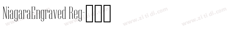 NiagaraEngraved Reg字体转换
